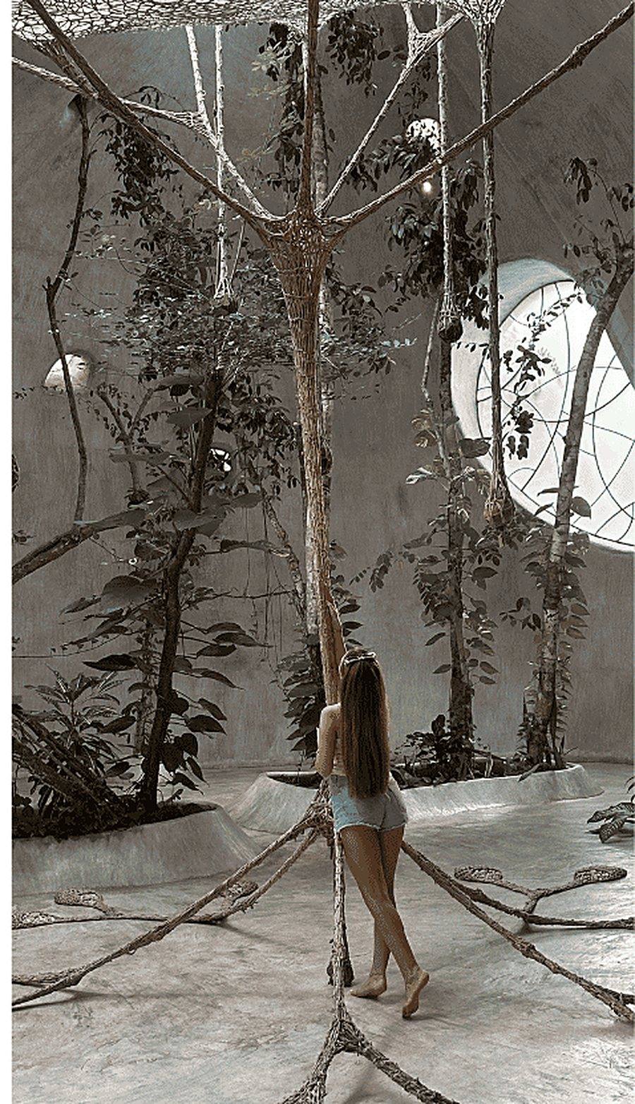 Patio interior con la selva creciendo dentro de la casa