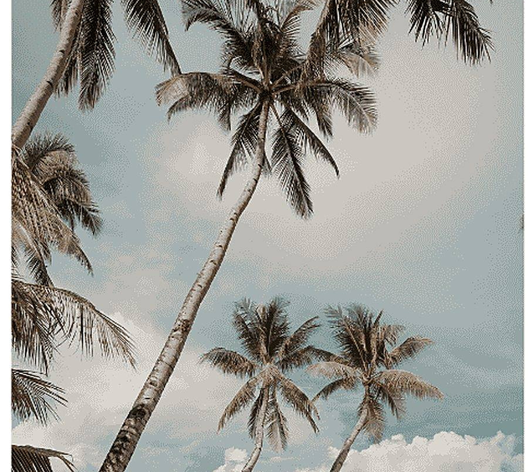 Palmeras inclinadas sobre la arena de una playa del Caribe